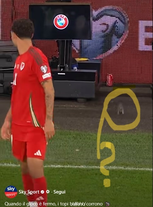 Anche i topi giocano a calcio