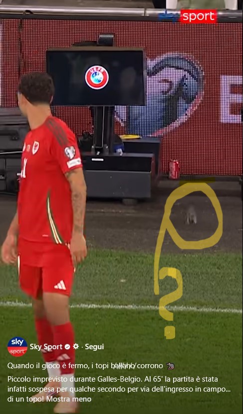 Anche i topi giocano a calcio